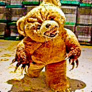 Teddy The Asshole