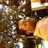 rays mulla