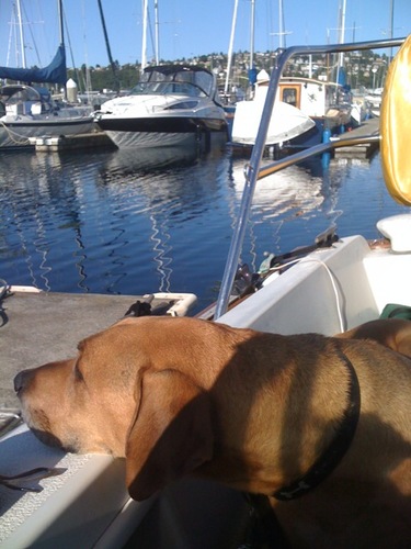 sbcook90's profile picture. 