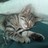 JElam21's profile image