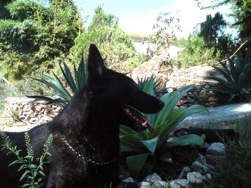 ingratojc's profile picture. 