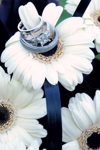 jleigh402's profile picture. 