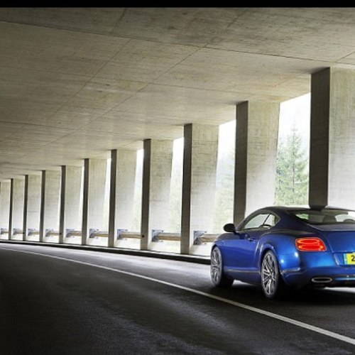 rtossy's profile picture. 