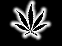 Get High and Fly  #OfficialStonerClub follow @BigTimeJDC #TrueStoners #TeamGanjaGreen #Team420  . Rastified™ #Weed
