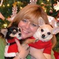 Sylvia Dean (@drsylviadean) 's Twitter Profile