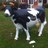 graze_lr's profile image