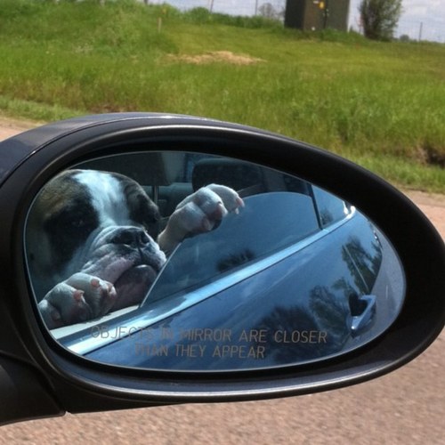 Nelson75's profile picture. 🇨🇦🇵🇹🇮🇹