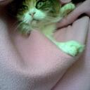 clare osborn - @mk24chick - Twitter