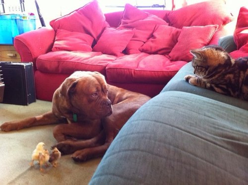 Slade260's profile picture. 