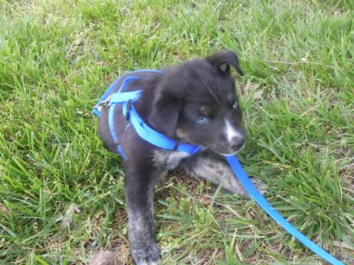 SetonHall10's profile picture. 