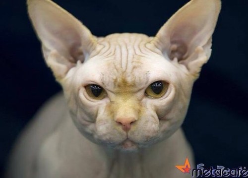 MiriamMcentire's profile picture. 