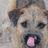 Max_the_Mutt's profile image