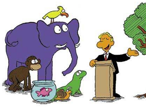 ZooDistrital's profile picture. twitter oficial de zoologico distrital.