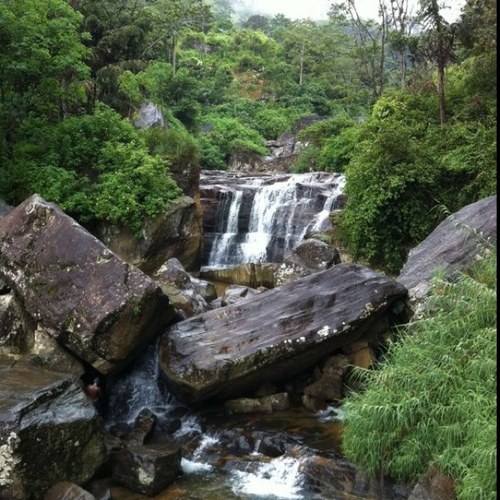 HesahMohamad's profile picture. 