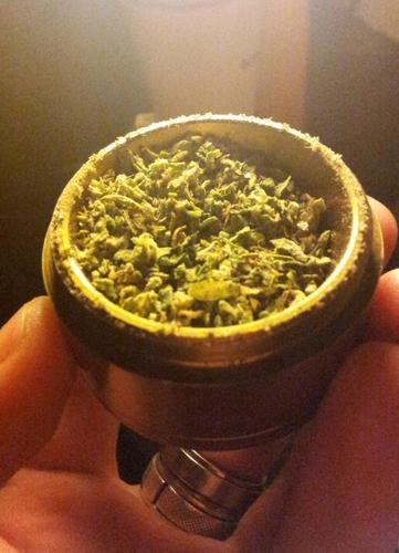 My_Name_Is_Peep's profile picture. Take shits, smoke weed.