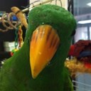 Abby Dowling - @Yab3 - Twitter