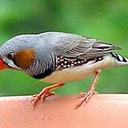 mohammad bukhari - @bukhari2_trg - Twitter