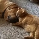 Gail Dodds - @GailDodds - Twitter