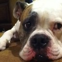 Matt Ronca - @RoncaMatt - Twitter