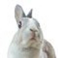 nabokov♹ (@nabokov7) 's Twitter Profile