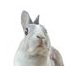 nabokov♹ (@nabokov7) Twitter profile photo nabokov♹ (@nabokov7) Twitter profile photo