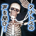 音楽とAccessoryとイカシタことを こよなく愛するヲタク。 人生はEros&Thanatos。 Liveと遠征は尻軽が信条。とっくの昔に成人済み。 この世は好きで溢れてる。クリエイティブなことはこちら（@adp_info） バカなことしか呟きませんが、お気軽にフォローどぞ(´∀｀*)