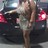 pattycakes0637's profile image