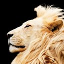 martin cedillo - @martincedillo3 - Twitter