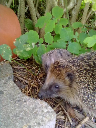 www_butterfly's profile picture. bald 30 und trotzdem noch jung geblieben!!!