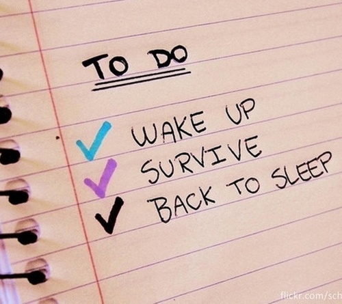 sanysaran's profile picture. 