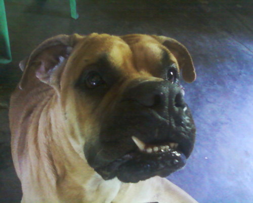 spded1024's profile picture. 