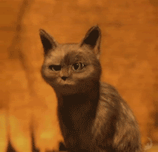 ximenchuixue8's profile picture. 你那里下雪了吗？