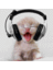 lexerchaad1's profile image
