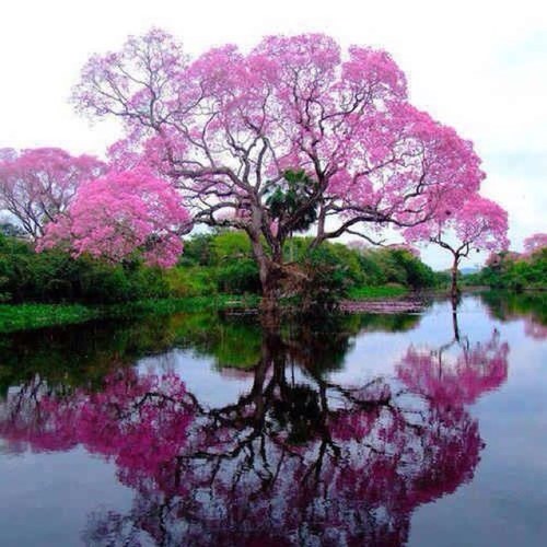 arein2011's profile picture. Country girl. Loves:  music, kids, animals, true friends, laughter, smell of rain.  Hates: darkness, odd #'s, germs,fake people, being still. 