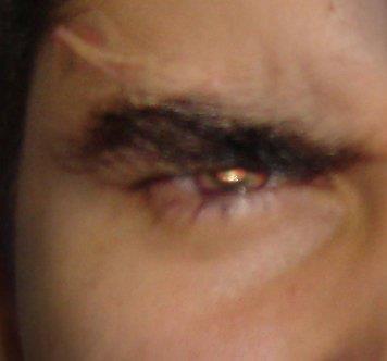 Papydrinks's profile picture. I no longer have labels on myself.