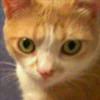 laetitiagm's profile picture. Prof de FLE e indignada con la situación que vive España