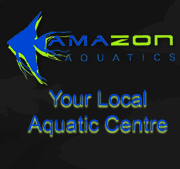 Aquatic Shop, Stocking from Fish Food to Stingrays