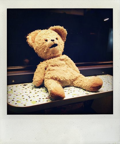 NSbeer's profile picture. Ik ben een blije, blije beer. Op 1 juli 2012 verloren in de trein en dankzij Twitter en Facebook op 16 maart 2013 mijn baasje teruggevonden! Iedereen bedankt!