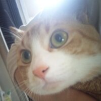 nik PROGRESSIVE FOrM (@nik_pf) 's Twitter Profile
