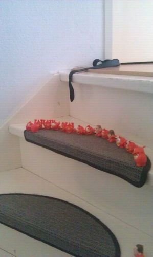 MarkBorgonjen's profile picture. 30 plusser uit Vorden, papa van 3 zoons, waaronder 1 tweeling, ex-keeper die tegenwoordig goals probeert te maken.