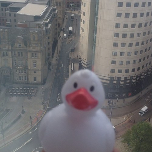 pilky3376's profile picture. 