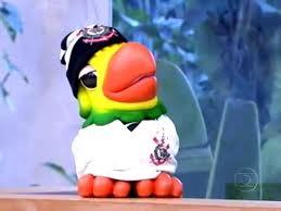 #liberaoloro
homenagem ao loro
#lorojosé #lorojose #LIBERAOLORO #corintians