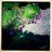 BeckyBloom78's profile image