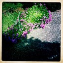 Becky - @BeckyBloom78 - Twitter