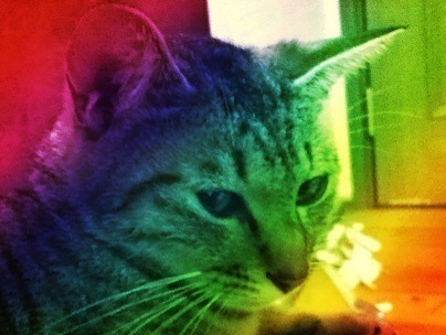 Hiro_NaOka's profile picture. 大阪生まれの滋賀育ち、東京で出版営業、家電販売を経て、今は広島の安芸高田でアルコール依存症と格闘中…不利な状況ですが…orz 今は無職で時々活動中。。。 テキトーにお絡み下さいませ。