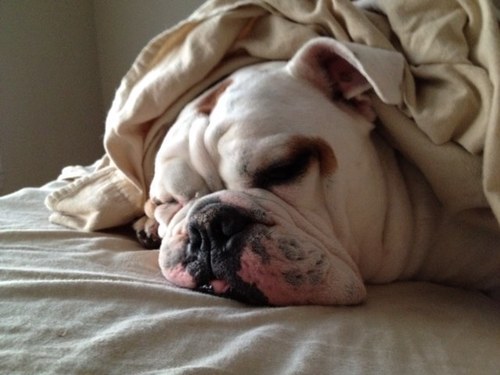 Tumang12's profile picture. 