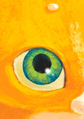 RealSolarKitten's profile picture. 