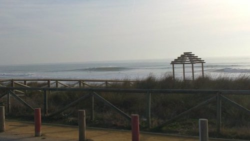 mamue4's profile picture. 