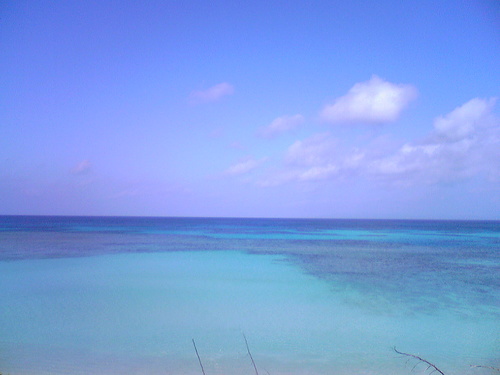 Masaki_Takahata's profile picture. 