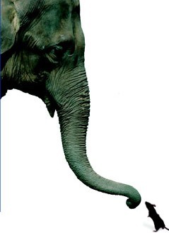 OPMFinance's profile picture. Using 20 years' Industry experience to provide cost effective finance solutions to UK businesses.See how YOU can have the latest technology for less..